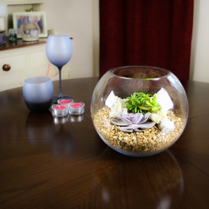 May include: A clear glass terrarium with a variety of succulents and small stones. The terrarium is on a dark wood table with two gray glass candle holders and three pink candles.