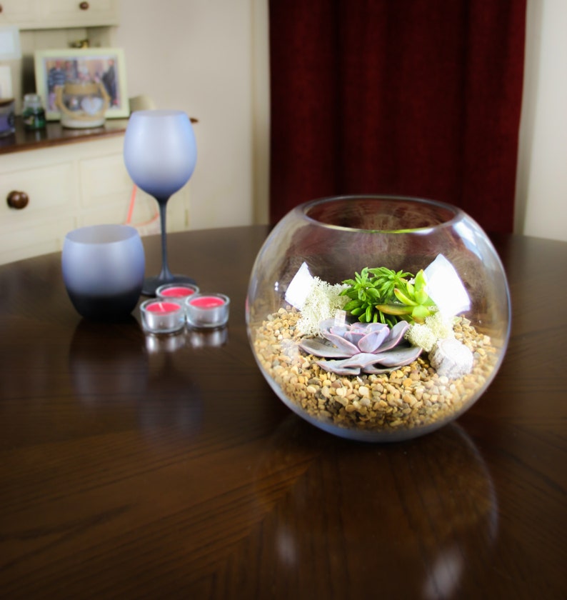 May include: A clear glass terrarium with a variety of succulents and small stones. The terrarium is on a dark wood table with two gray glass candle holders and three pink candles.
