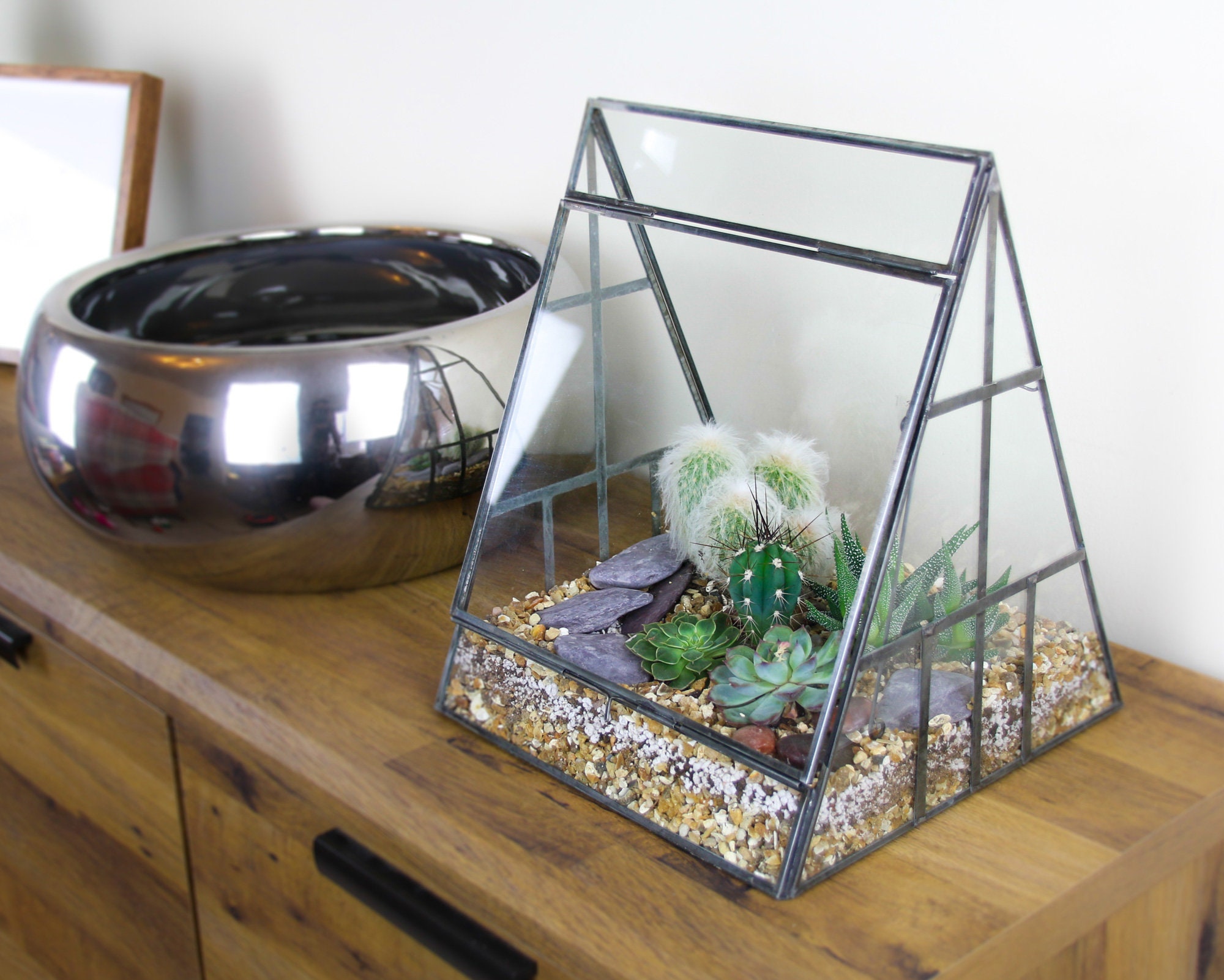 Pyramid Indoor Greenhouse Terrarium Kit featuring 5 living Etsy
