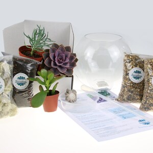 May include: A succulent terrarium kit with a clear glass globe, soil, decorative stones, moss, and four small succulents in pots. The kit includes instructions and a tool for planting.