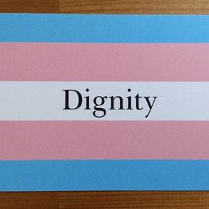 Transgender Pride Flag postcards
