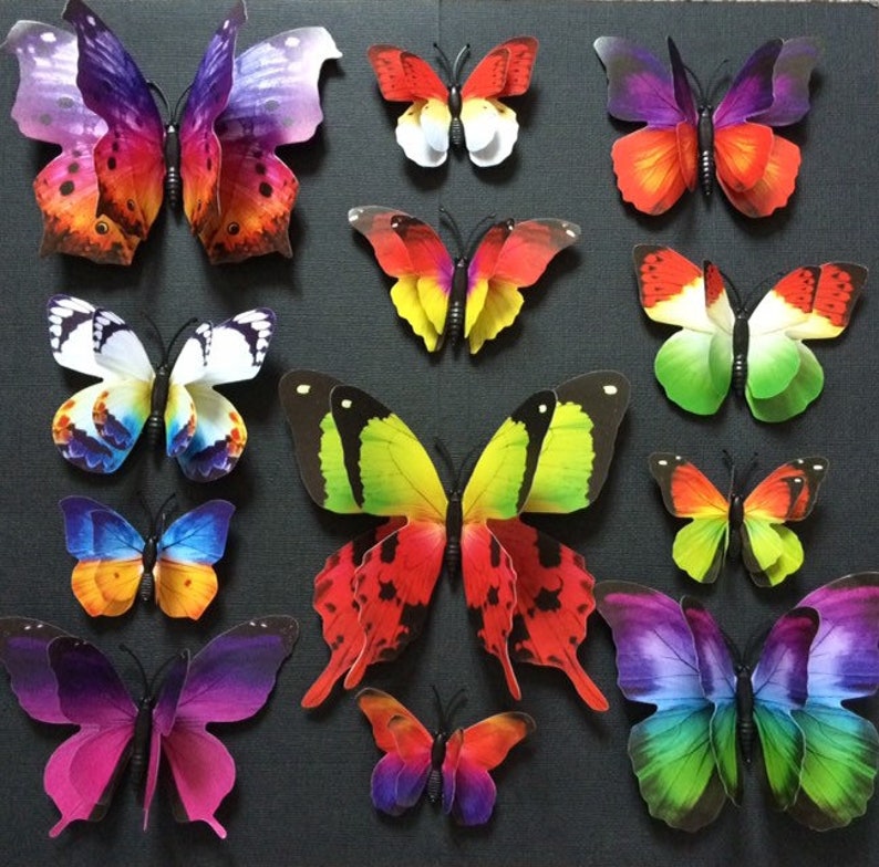 3D Wall Butterflies. Double Wall Butterfly Art Decal. 12 3D Etsy