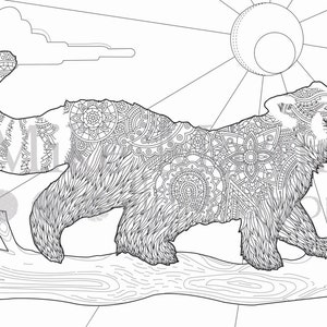 Printable Red Panda coloring page Instant download adult coloring page