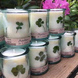 Natural scented candle, with 4-leaf clover from the Rambouillet forest. Luck and Serenity!