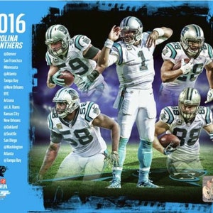 Carolina Panthers 2016 Team Composite 8x10 Photo Cam Newton Jonathan Stewart Luke Kuechly Greg Olsen