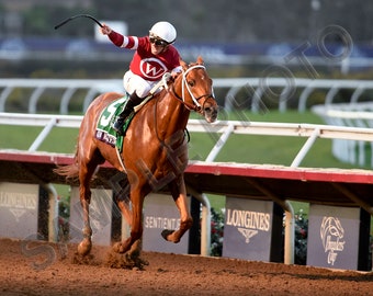 Gun Runner 2017 Breeders Cup Classic Champion Winner Horse Racing 16x20 Photo
