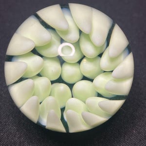 May include: A round, glass paperweight with a unique design. The interior features a pattern of light green and white shapes, resembling petals or leaves, arranged in a circular formation. The paperweight has a glossy finish.