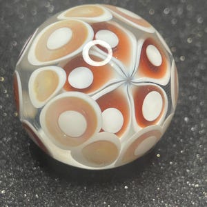 May include: A spherical glass marble featuring a clear base with an internal pattern of white and reddish-brown circular and oval shapes. The design consists of layered rings and solid dots arranged in a repeating floral-like motif throughout the sphere.