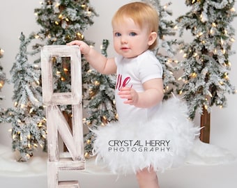 ONE Photo Prop Sign: First Birthday Wood Decoration