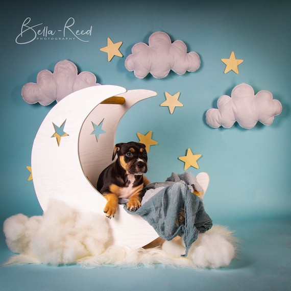 Mini Lune Avec Star Photography Prop Nouveau Ne Tout Petit Etsy France