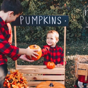 Christmas Trees Stall Real Photography Prop Baby Toddler Photographer, Ideal For Outdoor Photo Shoots Wood Lemonade Stall Photo Prop, COLORS