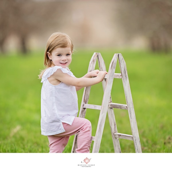 Leiter-Fotografie-Requisiten, Kleinkind, Babyfotograf, Holzleiter-Dekor, Aufhänger, Vintage, rustikale Holz-Wohndekoration, FARBEN