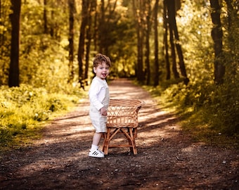 Wicker Baby Chair, Willow Seat Photography Props, Toddler and Newborn Baby Photographer, Nursery Room Furniture, Natural Decoration