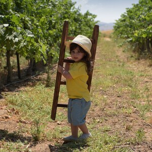 May include: A young child wearing a yellow shirt, blue shorts, and a white hat holds a wooden ladder in a vineyard.