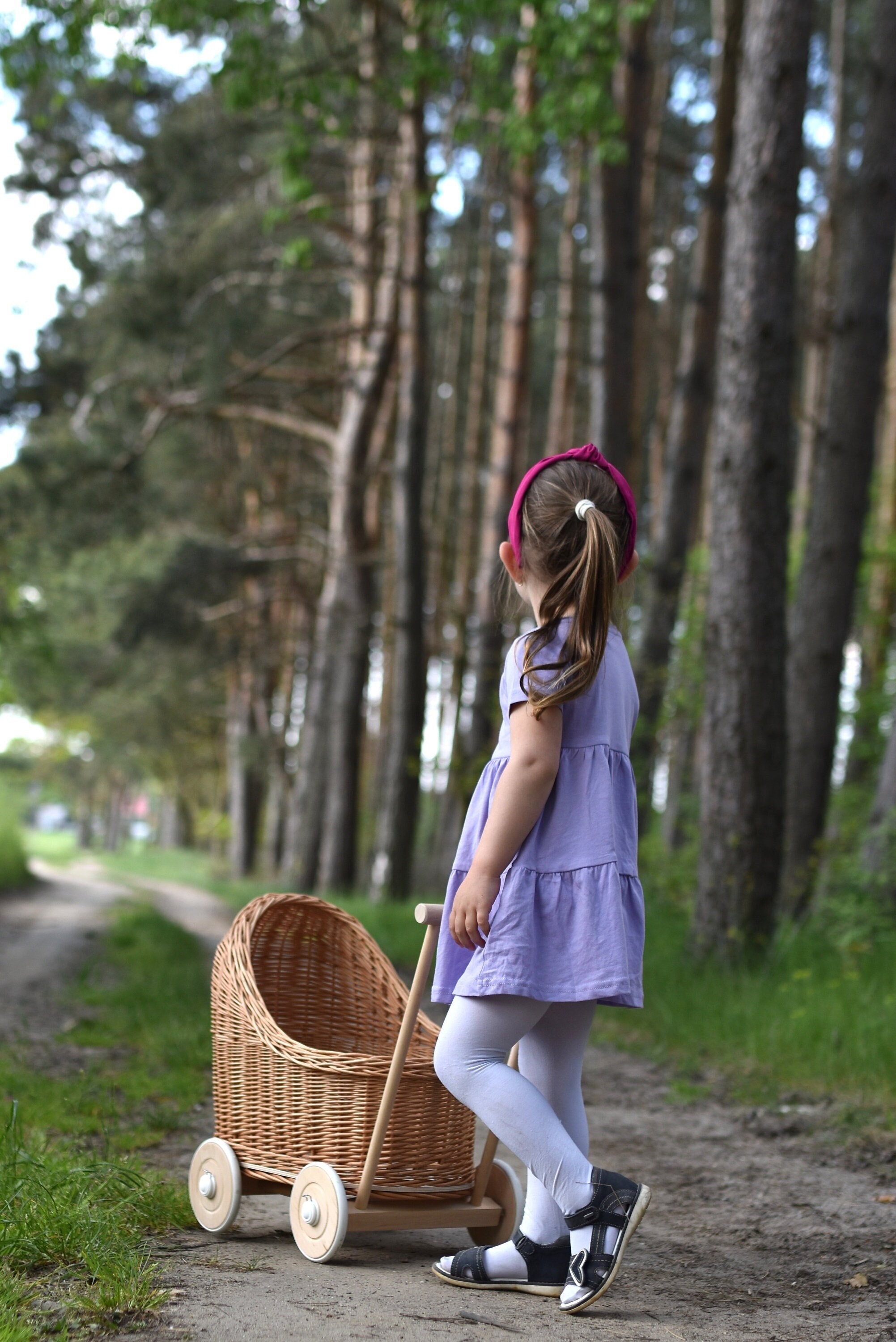 Culla in Vimini con Cappottina e Ruote Blu Little Prince/Princess