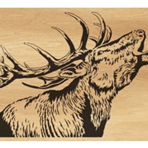 C184dino Skull Scroll Saw Pattern pdf Dxf Svg Eps Etsy