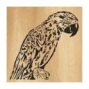 014-parrot - Scroll saw pattern (pdf, jpg, dxf, svg, eps)