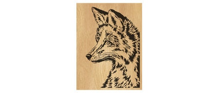 Fox scroll deals