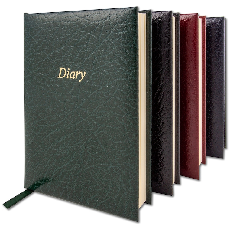 Any Year Diary Oversized A6 Journal Book Daily Diary Page | Etsy