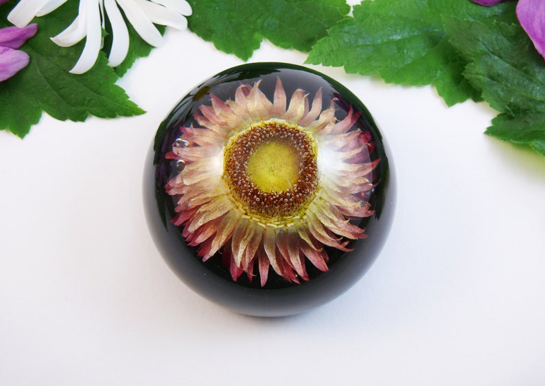Resin paperweight with real dried flower preserved pink Etsy