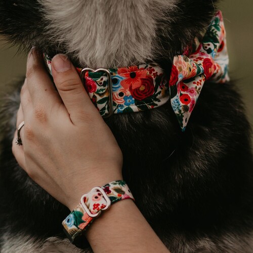 Pettsie Matching Dog Collar With Bow Tie Leash Friendship Etsy