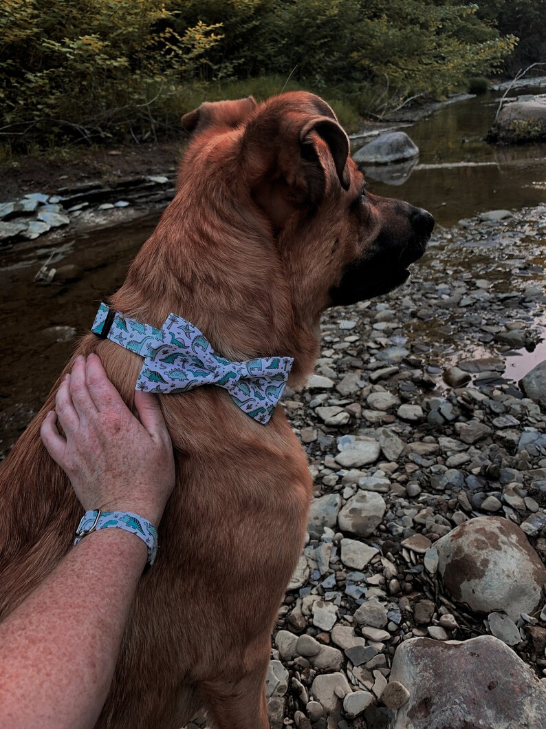 Floral Matching Friendship Collar & Human Bracelet Dog Mom Etsy