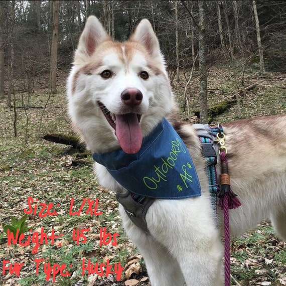 dog bandana with name