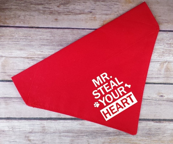 I/'m still single Mr Steal Your girl Valentines Dog Bandana **** Choose your Style My Valentine