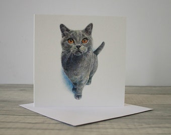 Illustrated Cat Greetings Card