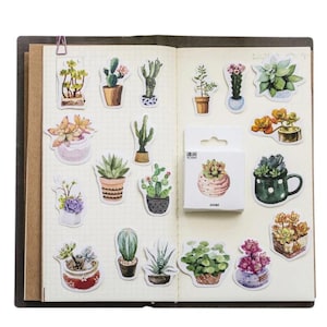 Copos adhesivos de cactus y suculentas