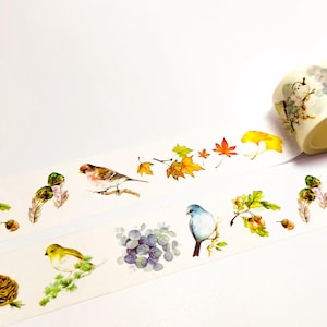 Buntes Washi Tape mit englischen Hecken und Vögeln