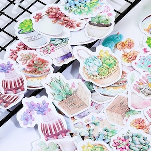 Pegatinas para diario con cactus suculentos verdes