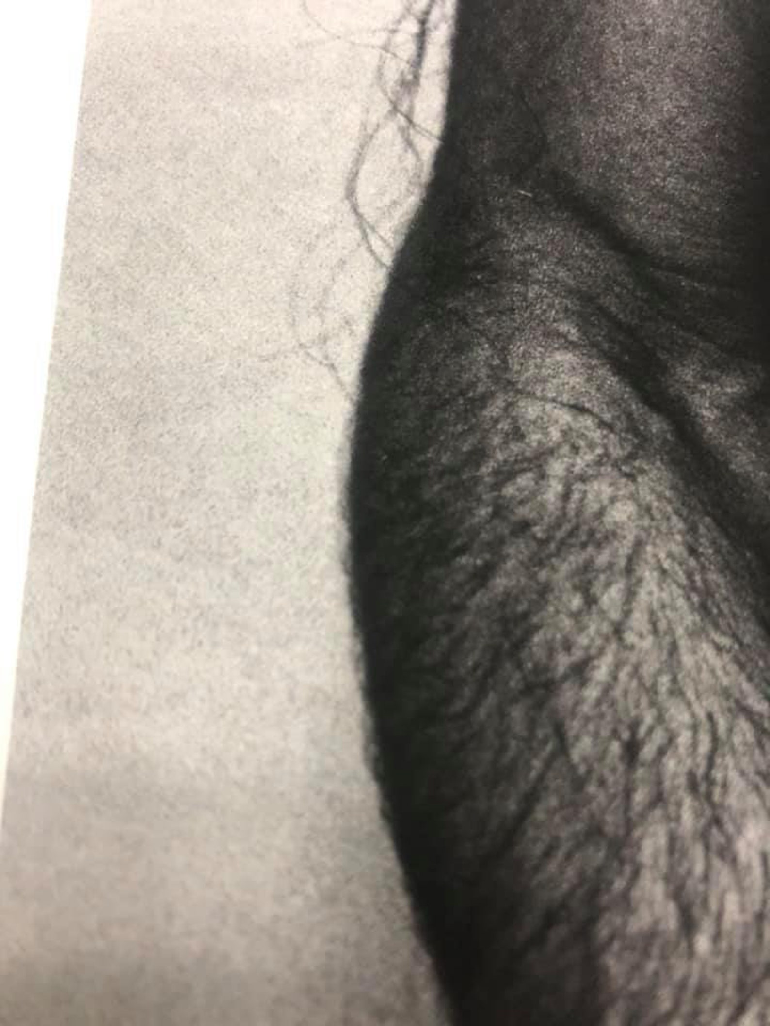 Solve et Coagula 2 Etsy