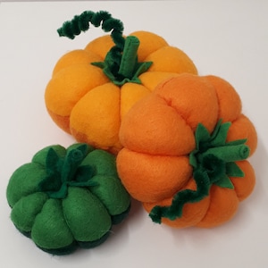 May include: Three felt pumpkins in varying sizes and colors. The largest is orange, the middle one is also orange, and the smallest is green. Each pumpkin has a green stem and a curly green pipe cleaner vine.