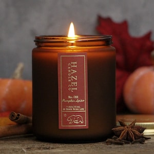 Pumpkin Spice Candle / Soy Wax Candles / fall candles / autumn candles / soy candles handmade