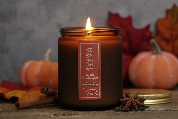 Pumpkin Spice Candle / Soy Wax Candles / fall candles / autumn candles / soy candles handmade