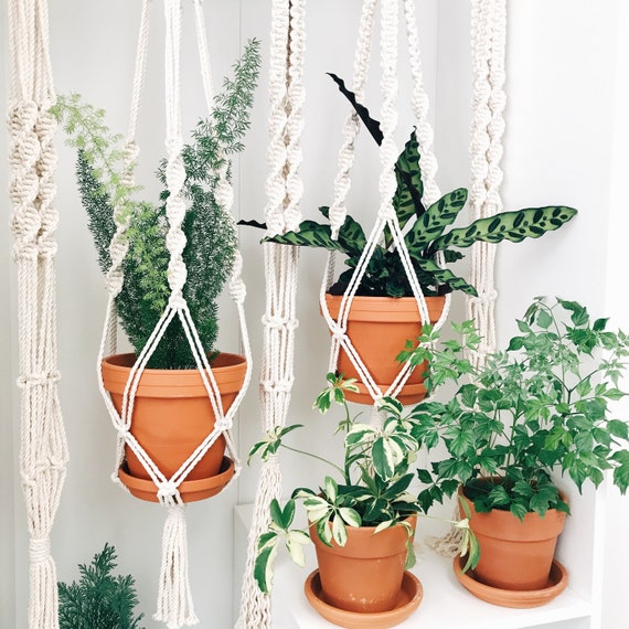 Macrame Plant Hangers