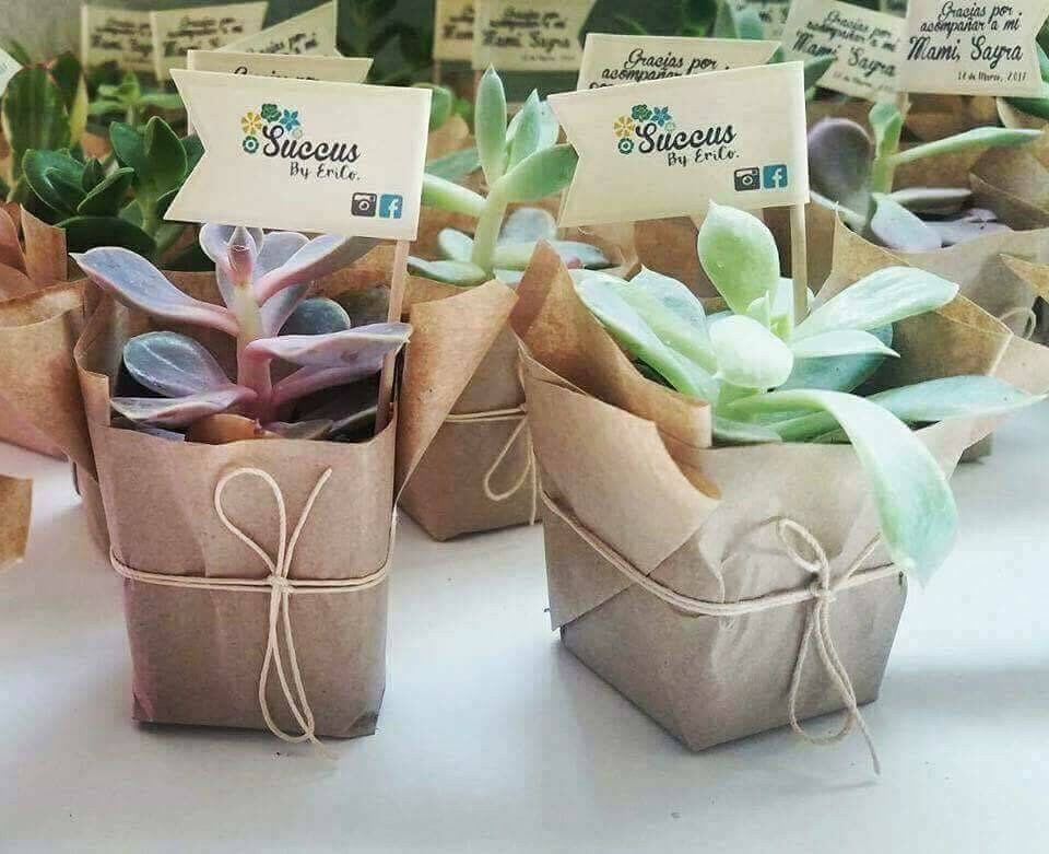 baby shower succulent favors