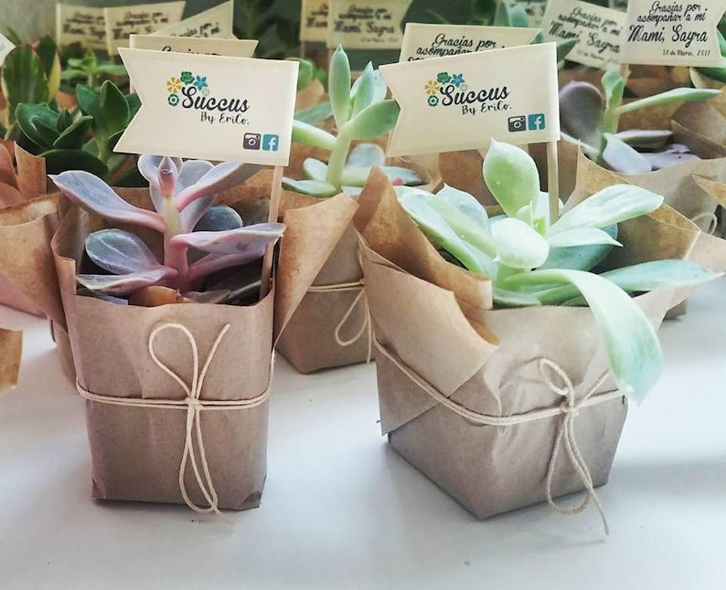 Inspirasi Souvenir Pernikahan Unik Dan Anti Mainstream Untuk Membuat Hari Bahagia Anda Tak Terlupakan Ide Souvenir Pernikahan Unik Anti-Mainstream