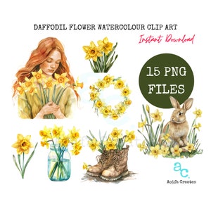 Watercolor Daffodil Clipart Bundle: 15 PNG Graphics (Commercial Use)