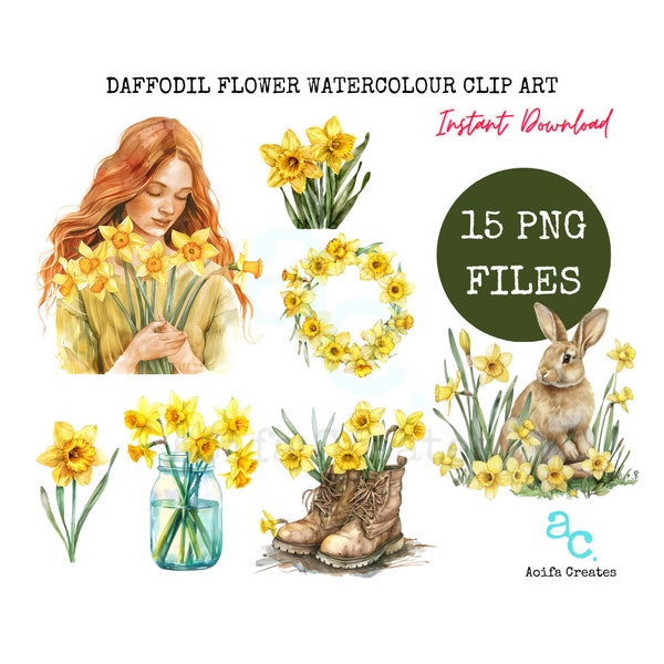 Aquarell Narzisse Clipart Bundle - kommerzielle Nutzung inklusive, Narzisse Clipart, Aquarell Clipart, PNG transparenter Hintergrund, Frühling