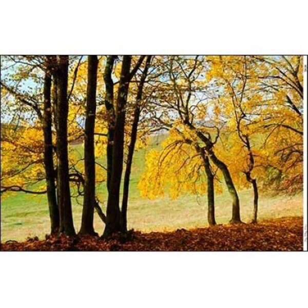 Dollhouse miniature wallpaper mural - fall trees- itsy bitsy minis 1:12 scale