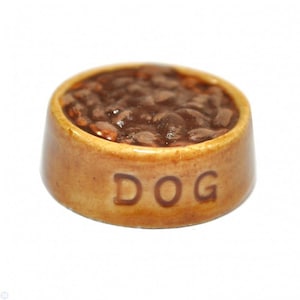 Dollhouse miniature dog bowl with food