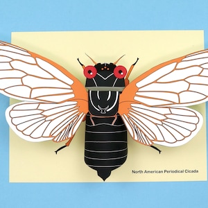 May include: A paper craft model of a North American Periodical Cicada with black, orange, and white wings. The cicada has red eyes and is labeled "North American Periodical Cicada".