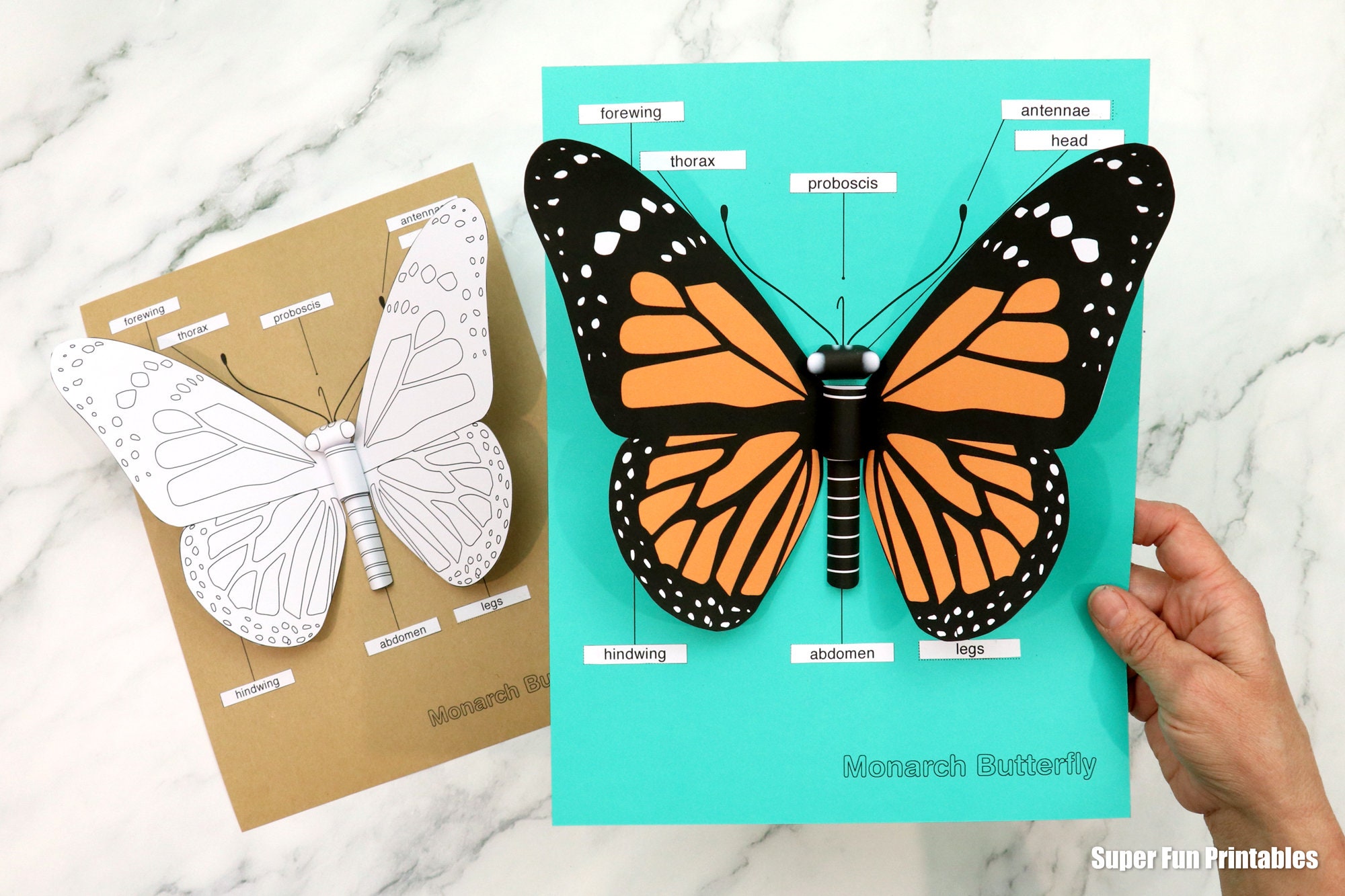3D Monarch Butterfly Paper Craft - Etsy
