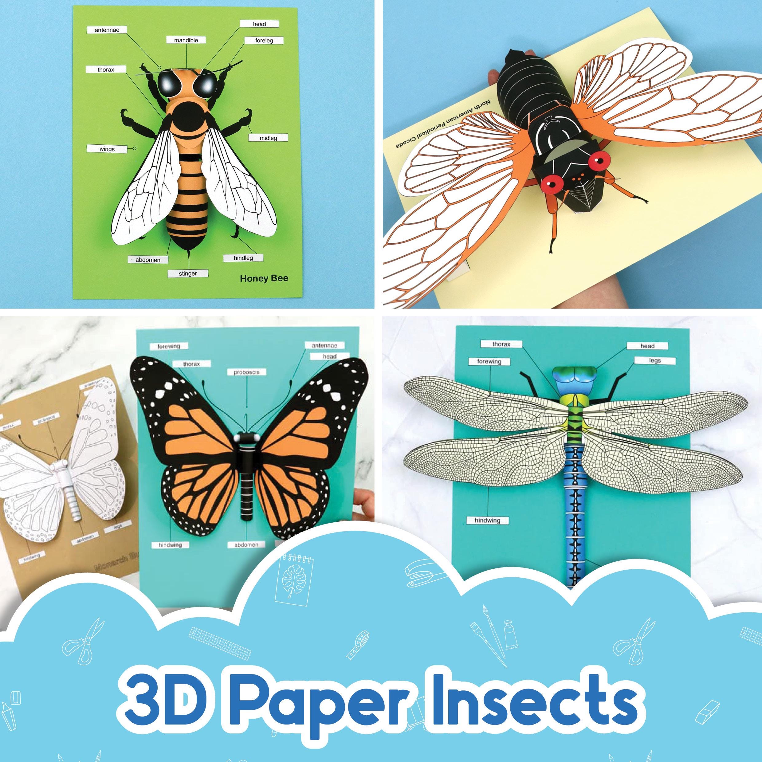 Realistic Insect Anatomy Crafts - Etsy