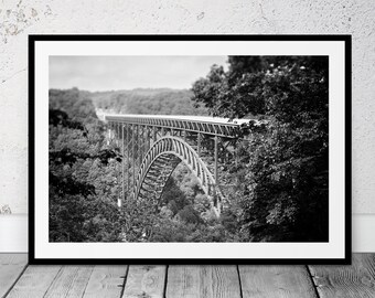 May include: A black and white photograph of a large steel bridge arching over a valley. The bridge is surrounded by trees and the photo is taken from a high vantage point.