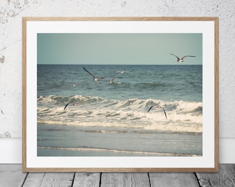 Beach Photography, Coastal Decor, Printable Art, Seagull Photo, Bird Art