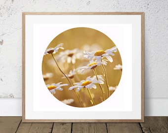 Utskrivbar konst av vildblomsfotografi, digital nedladdning, konst av vildblomsfotografi, naturfotografi