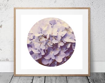 Printable Photography, Hydrangea, Flower Photography, Purple, Digital Download, Circle Photo